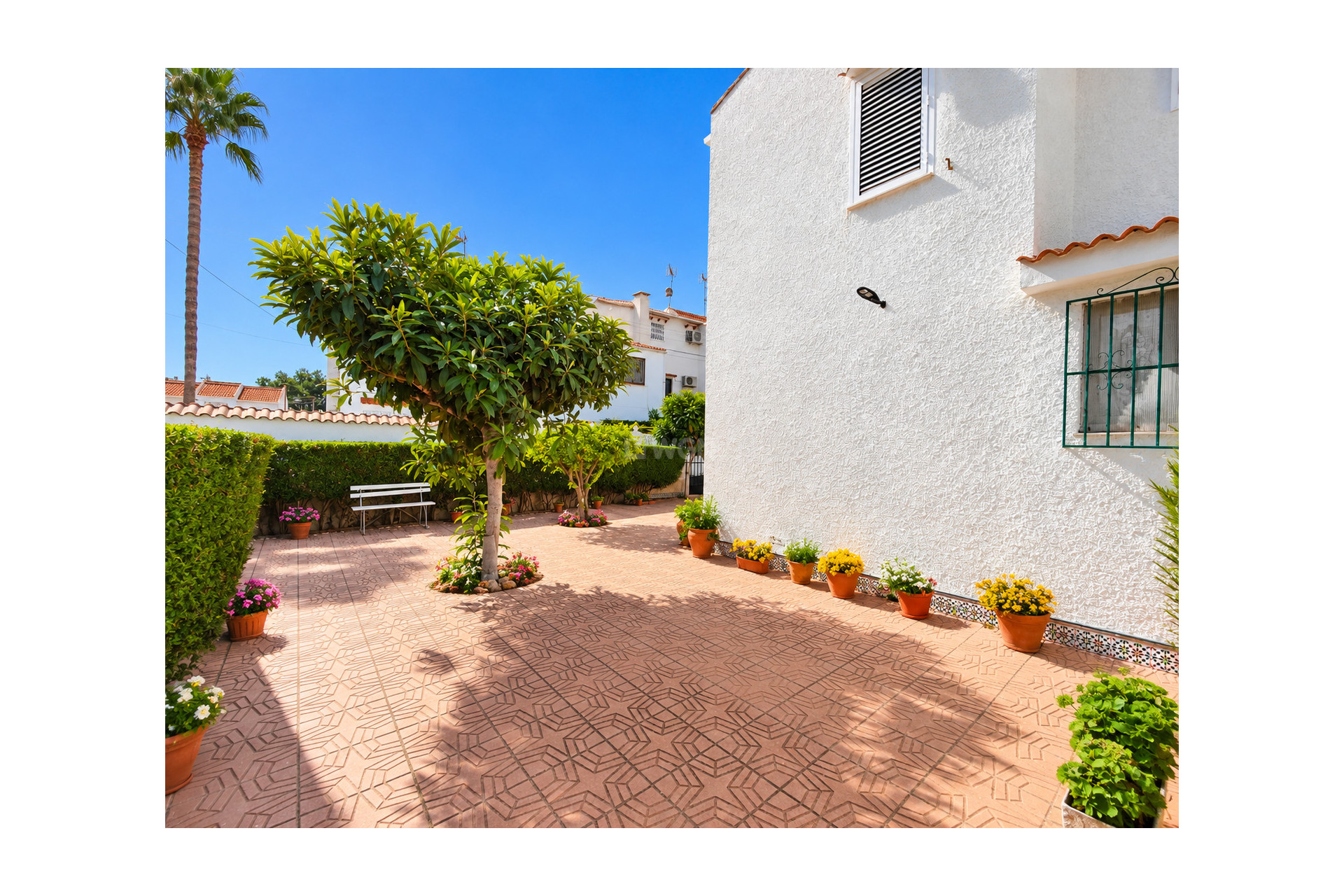 Odsprzedaż - Kamienica - Torrevieja - Costa Blanca