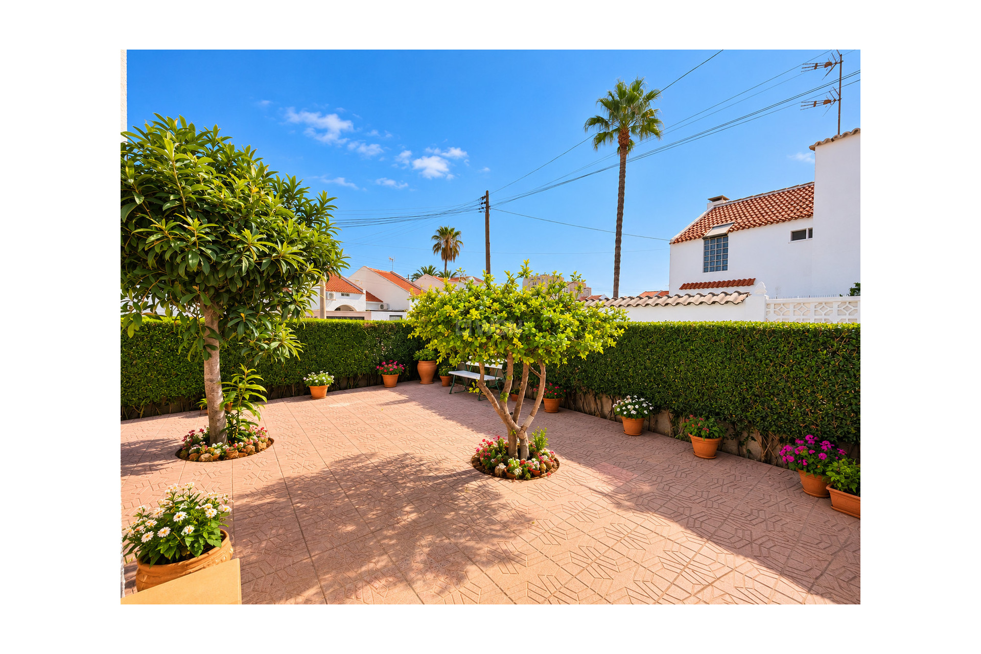 Odsprzedaż - Kamienica - Torrevieja - Costa Blanca