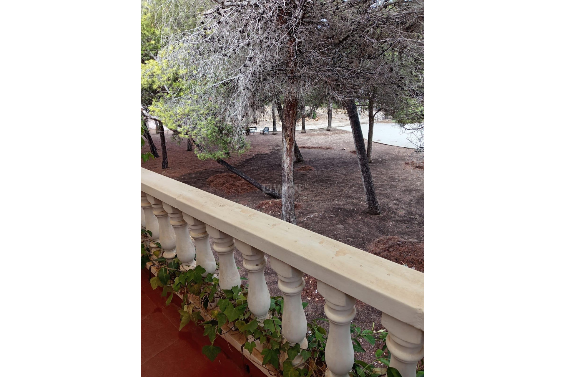 Odsprzedaż - Kamienica - Torrevieja - Costa Blanca