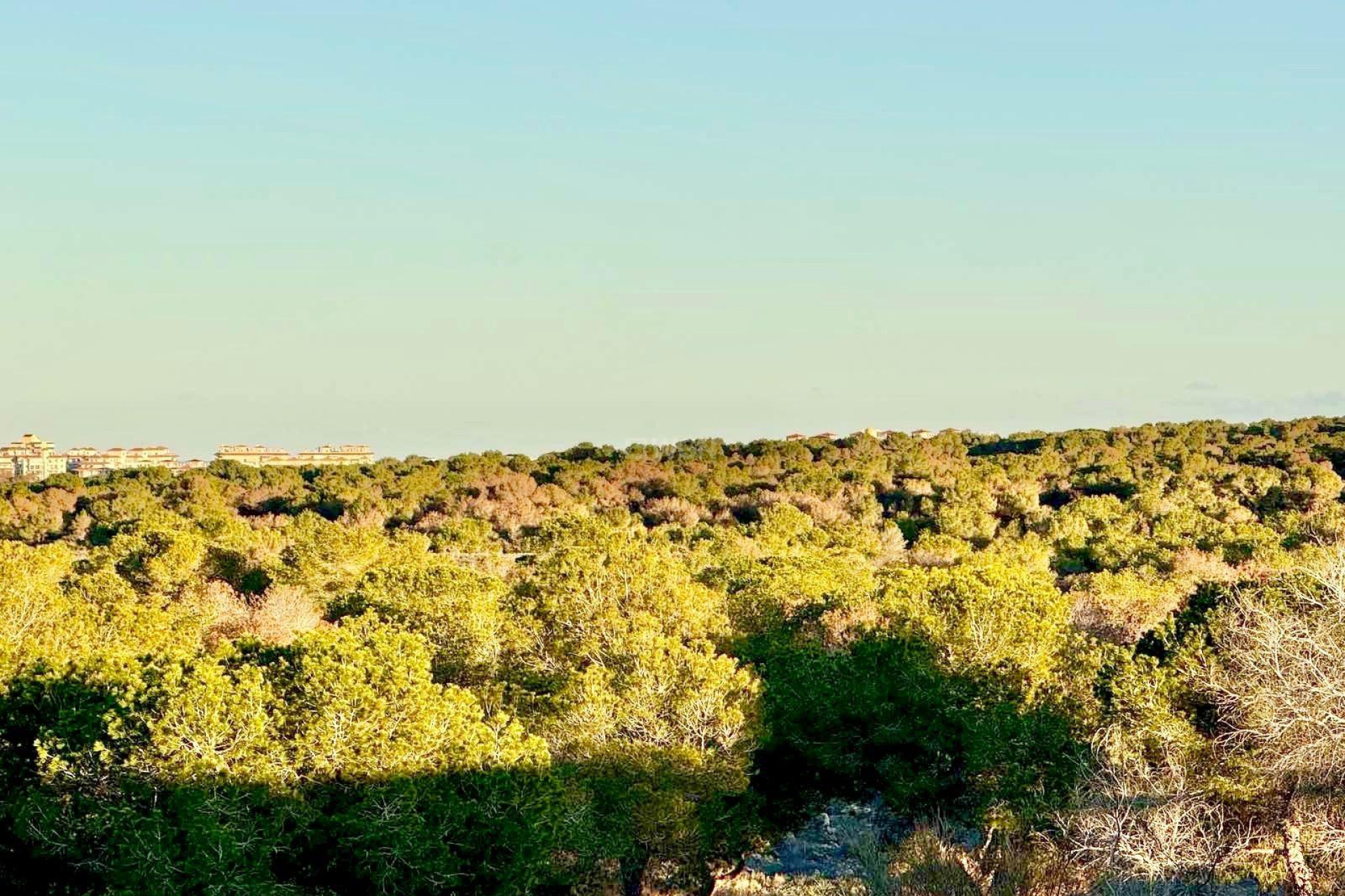 Odsprzedaż - Kamienica - Torrevieja - La Siesta - El Salado - Torreta