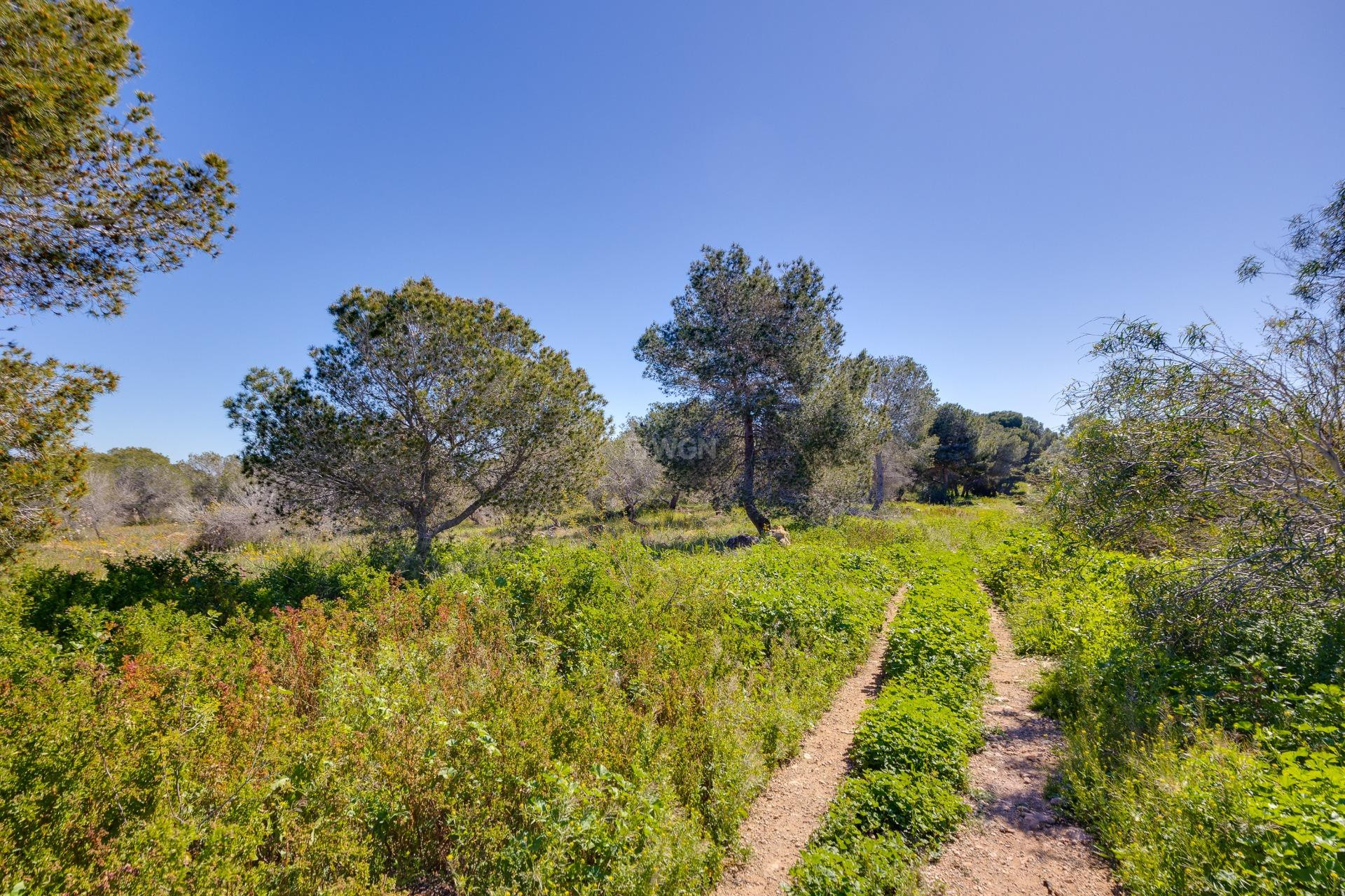 Odsprzedaż - Kamienica - Torrevieja - La Siesta - El Salado - Torreta