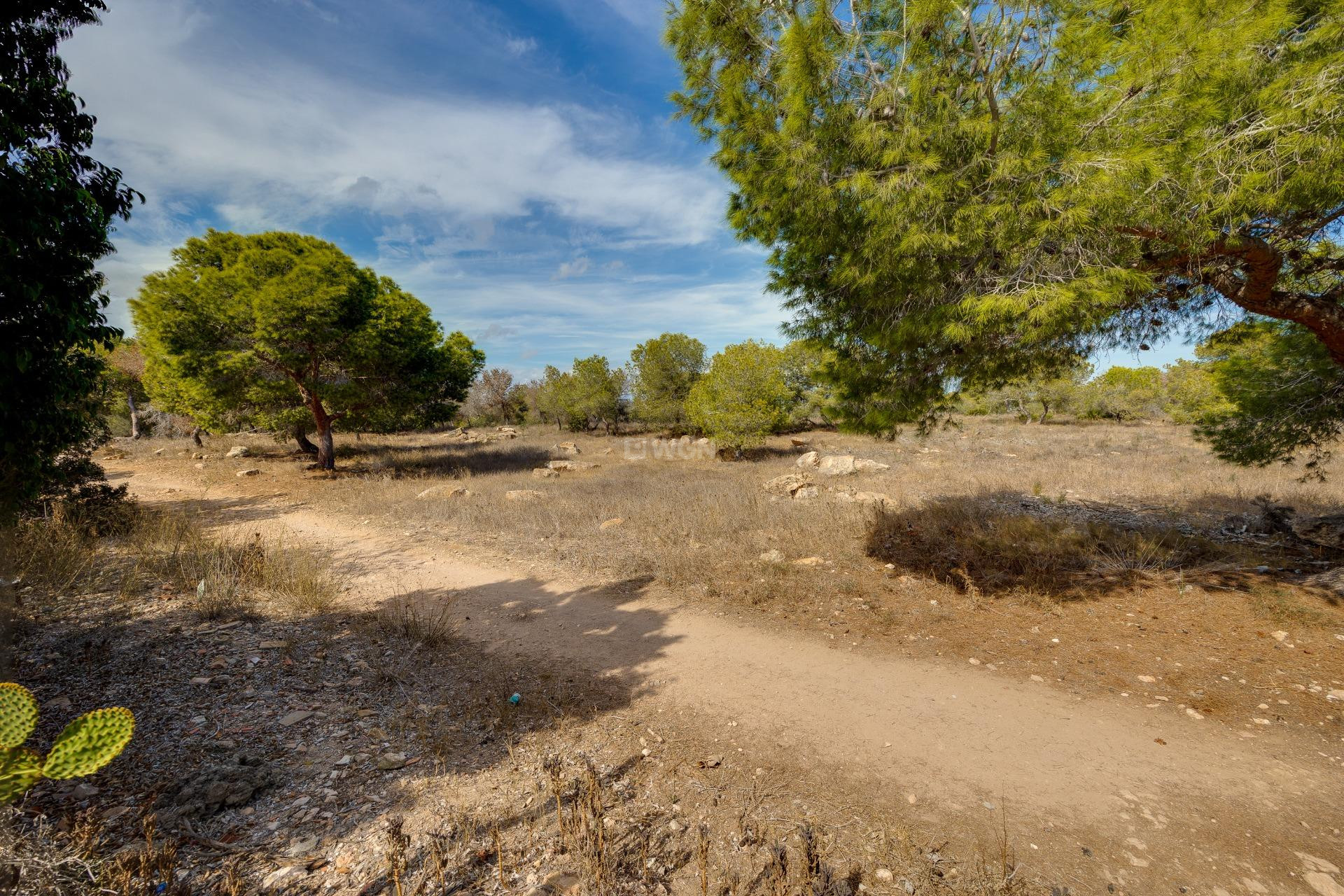 Odsprzedaż - Kamienica - Torrevieja - La Siesta - El Salado - Torreta
