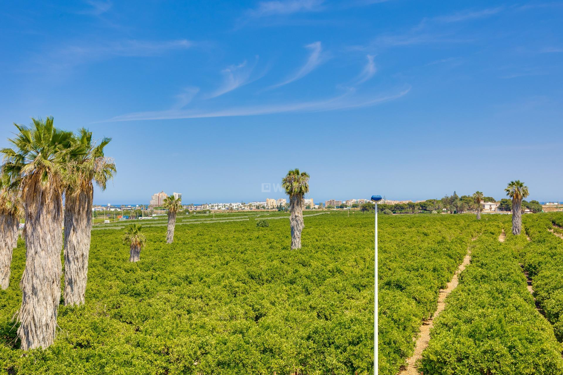 Odsprzedaż - Kamienica - Torrevieja - Los Balcones