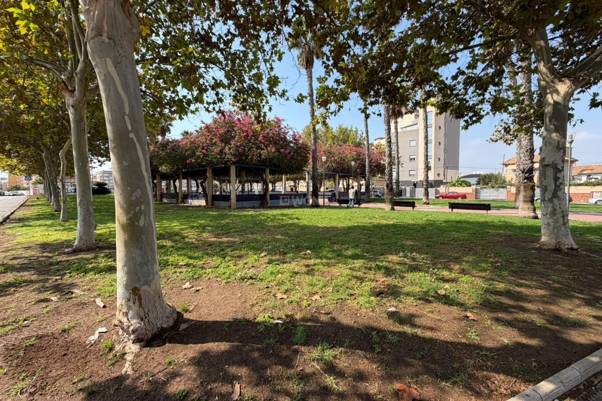 Odsprzedaż - Kamienica - Torrevieja - Nueva Torrevieja