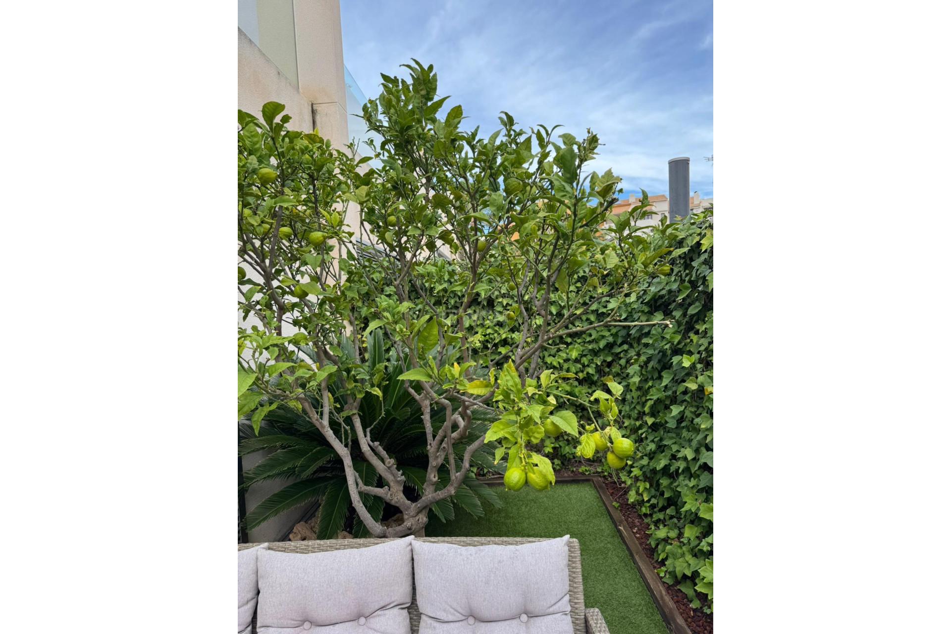 Odsprzedaż - Kamienica - Torrevieja - Punta Prima