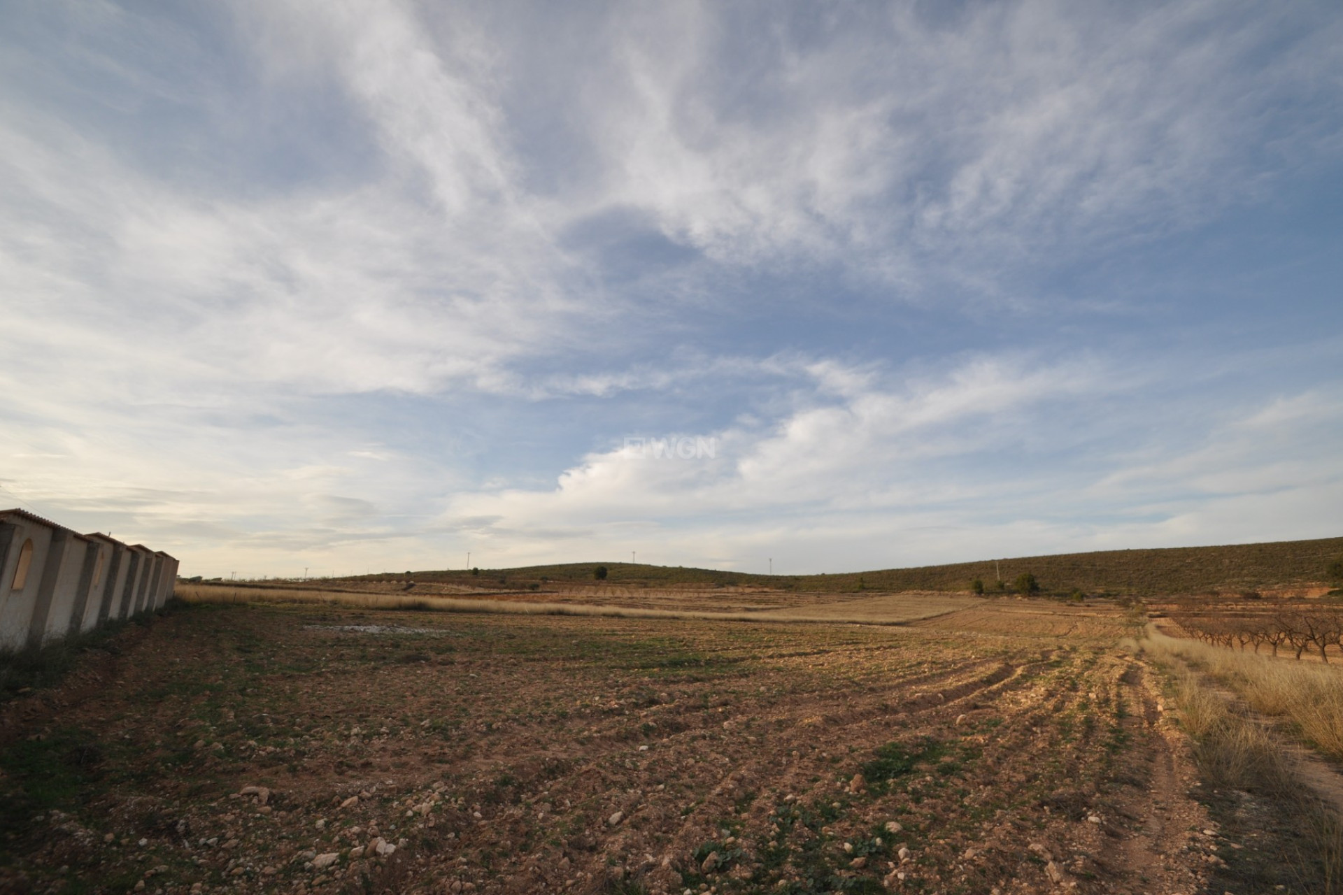 Odsprzedaż - Land - Abanilla - Inland