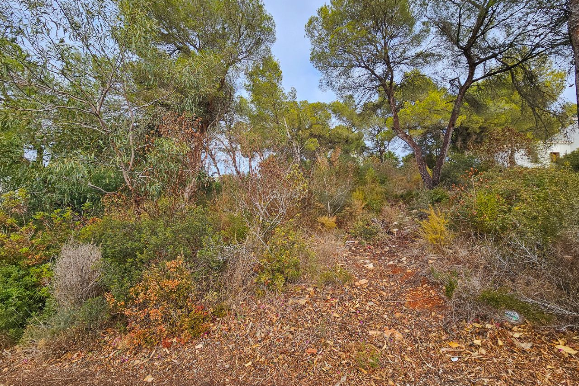 Odsprzedaż - Land - Jávea - Costa Blanca