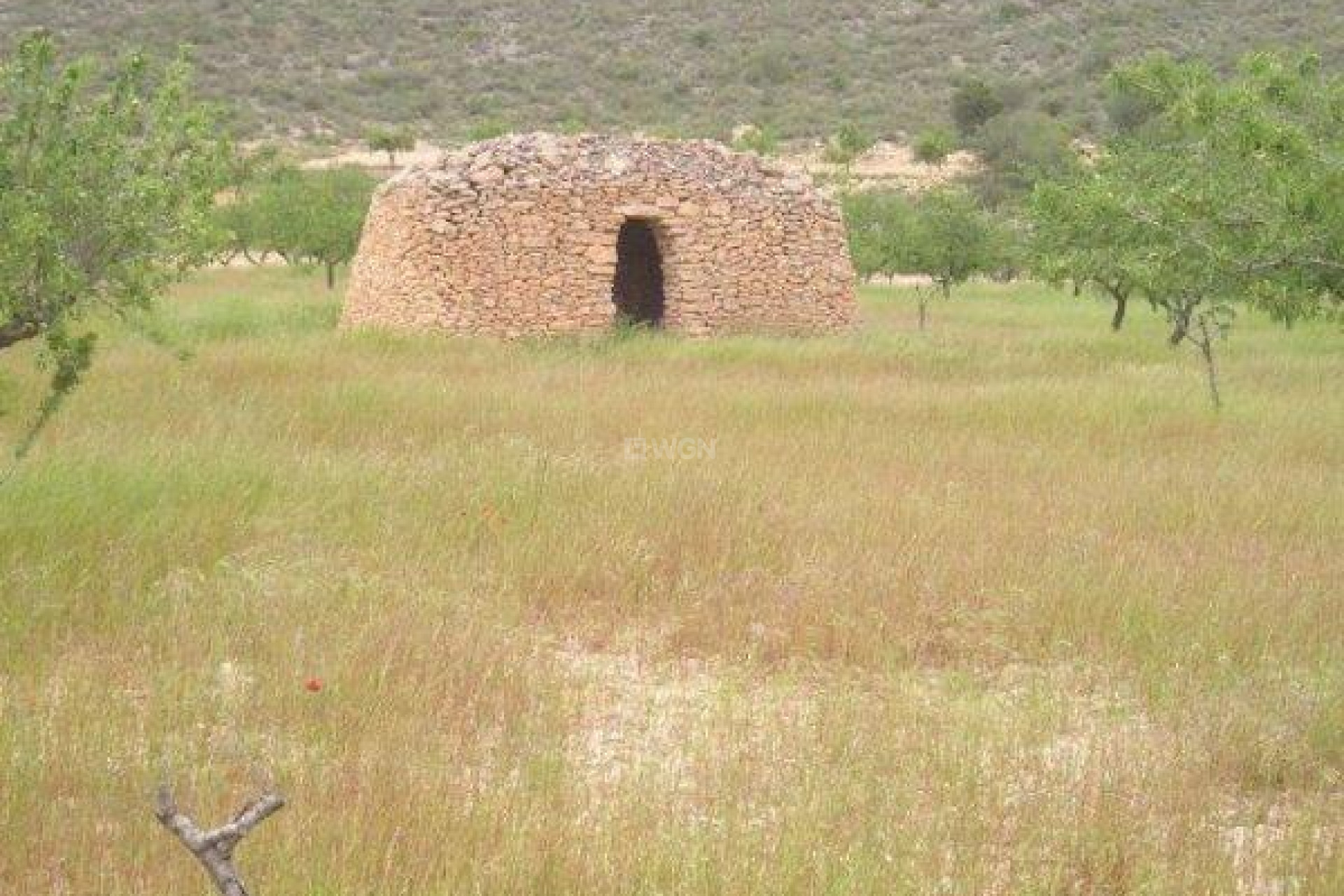 Odsprzedaż - Land - Jumilla - CaÑada Del Trigo