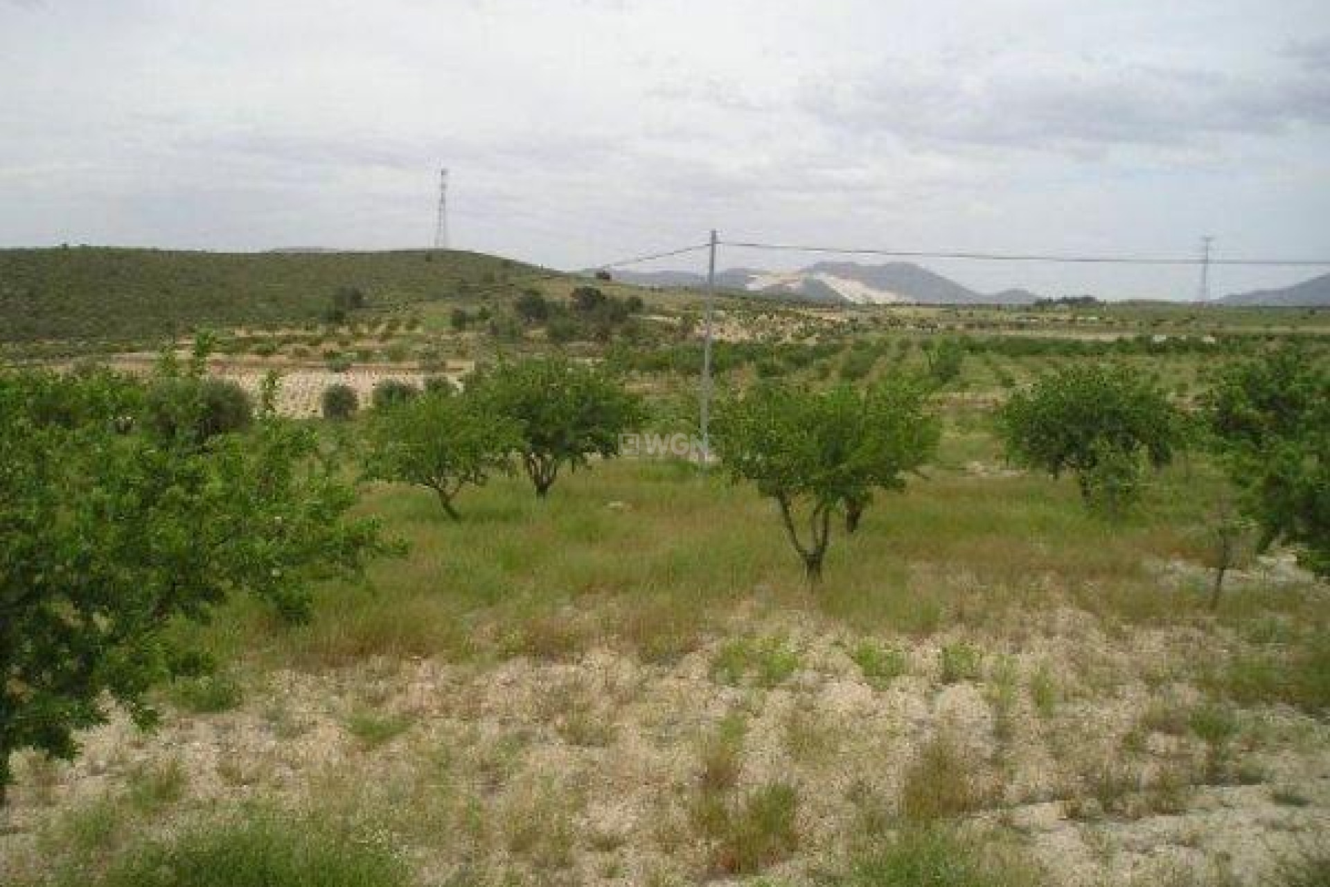 Odsprzedaż - Land - Jumilla - CaÑada Del Trigo