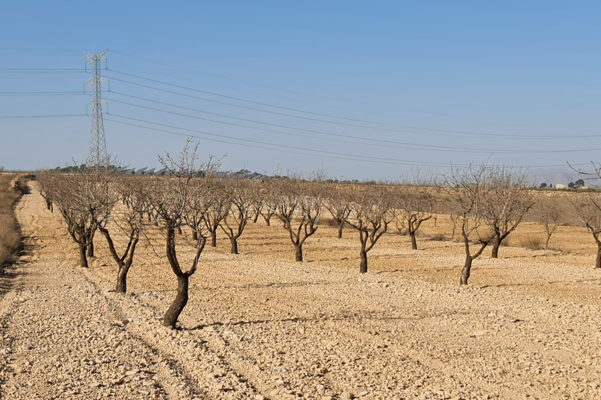 Odsprzedaż - Land - Jumilla - Inland