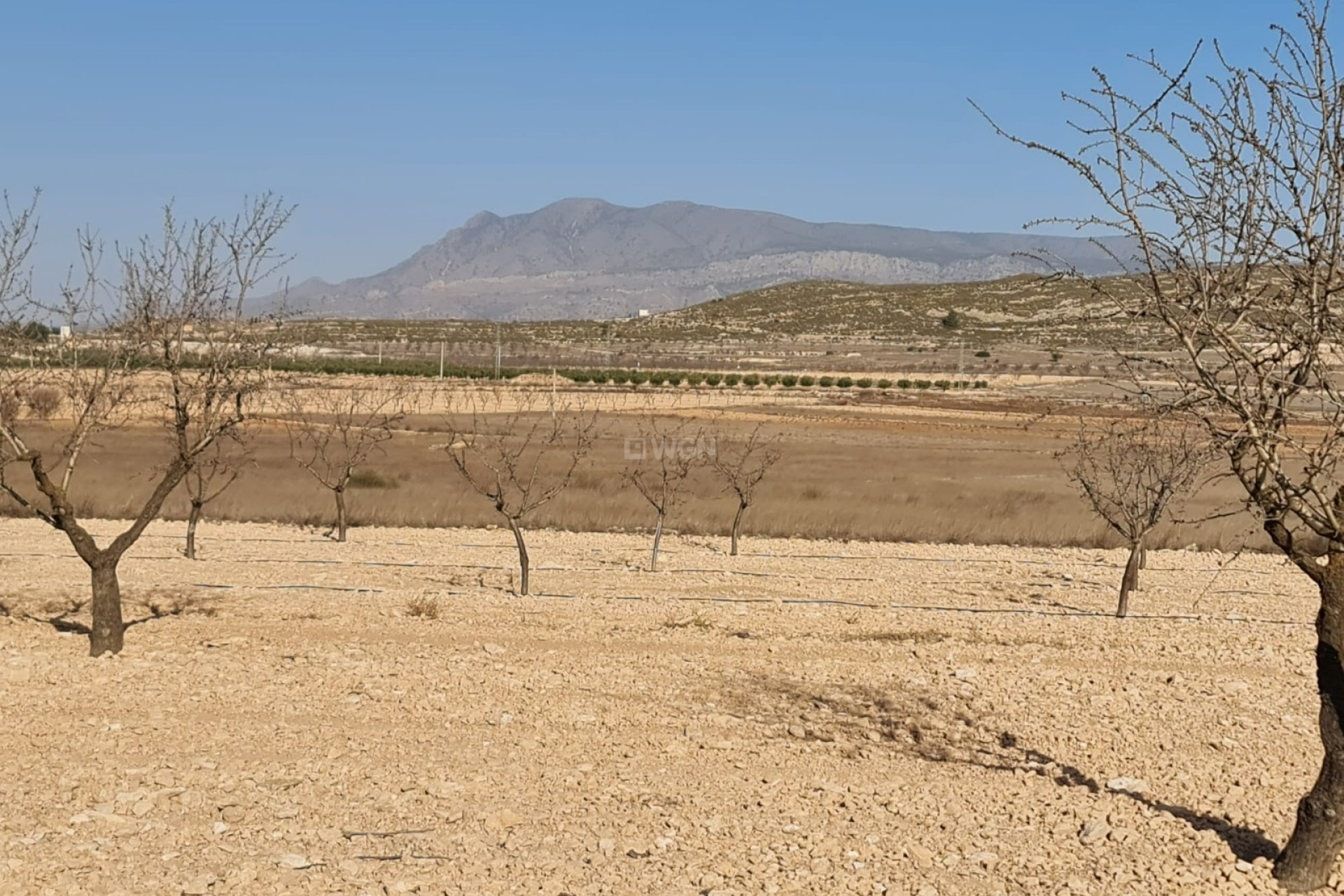 Odsprzedaż - Land - Jumilla - Inland