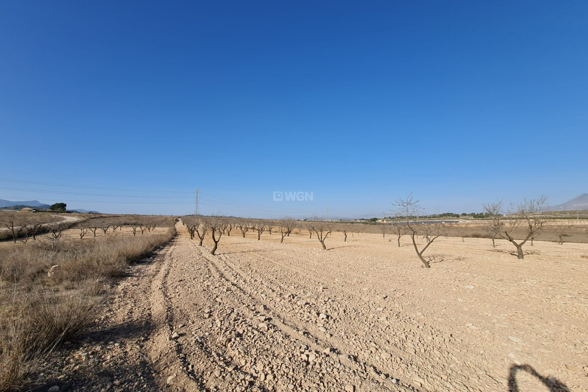 Odsprzedaż - Land - Jumilla - Inland