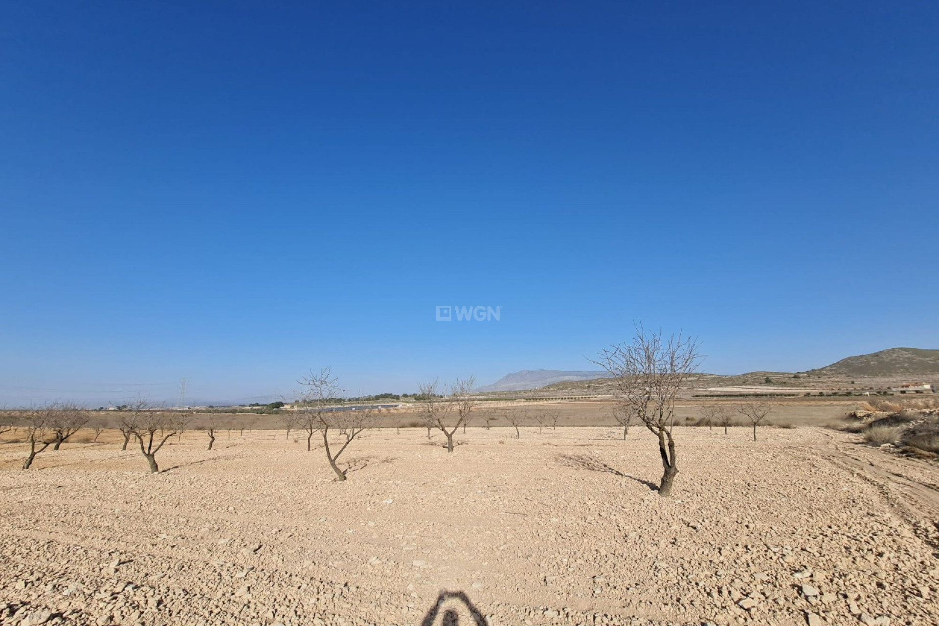 Odsprzedaż - Land - Jumilla - Inland