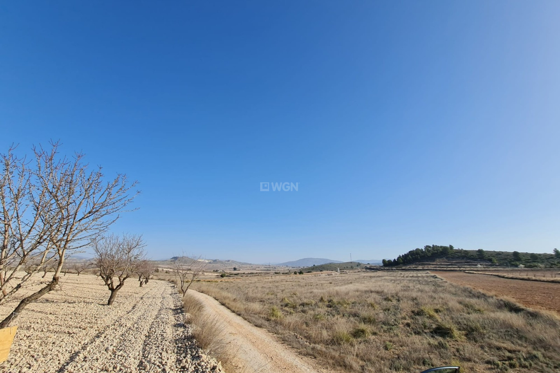 Odsprzedaż - Land - Jumilla - Inland