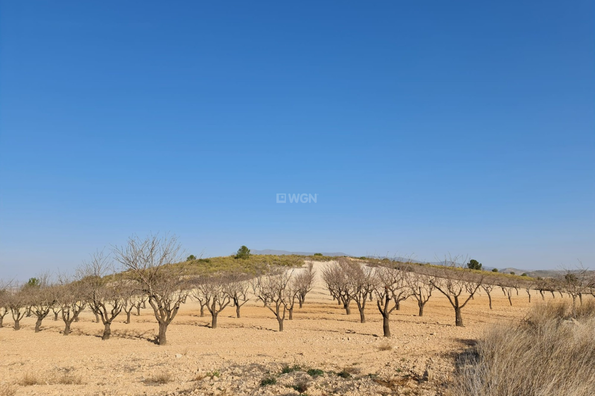 Odsprzedaż - Land - Jumilla - Inland