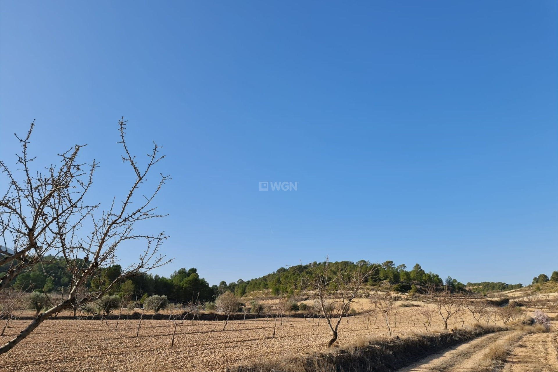 Odsprzedaż - Land - Jumilla - Inland