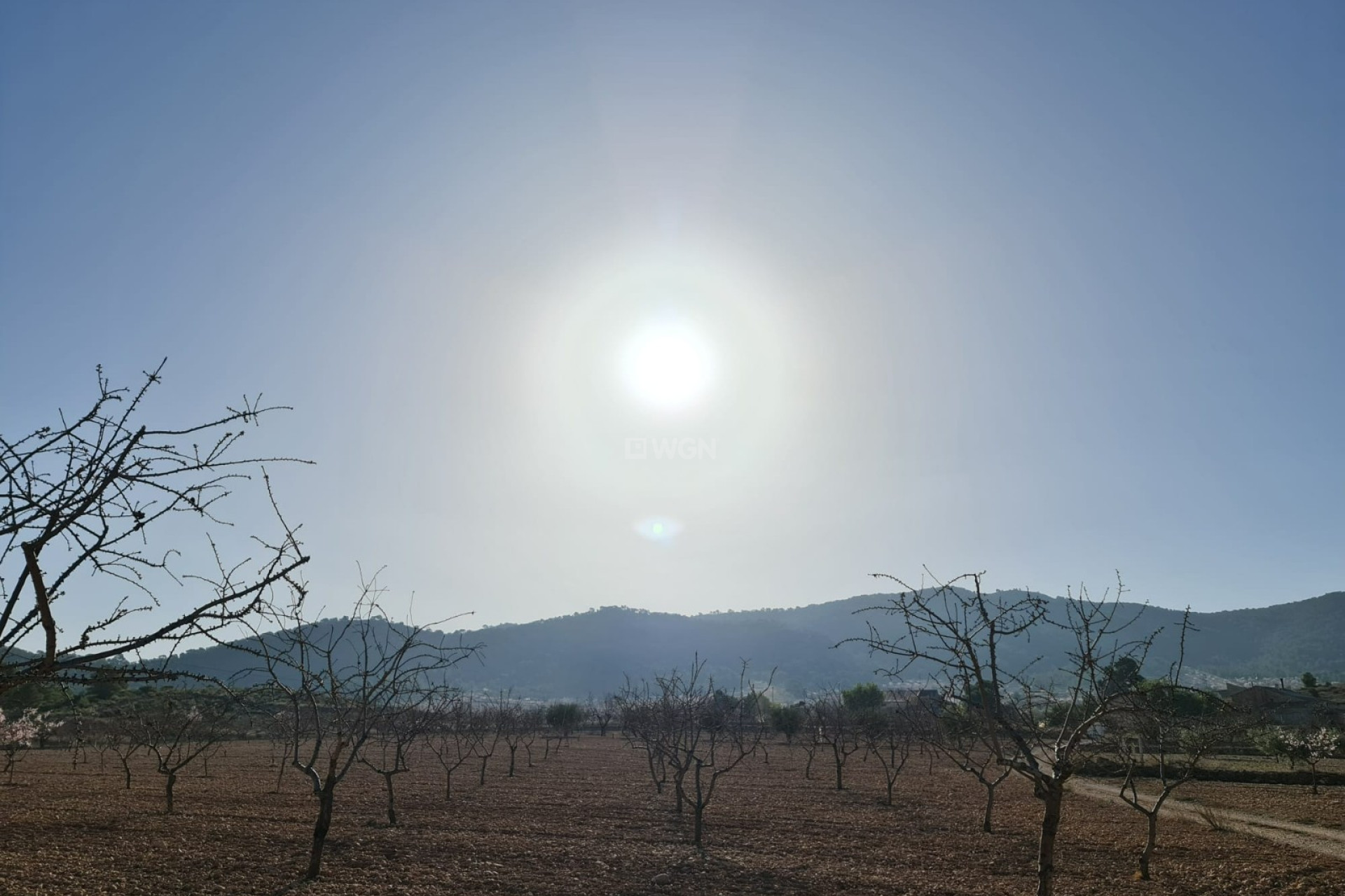 Odsprzedaż - Land - Jumilla - Inland