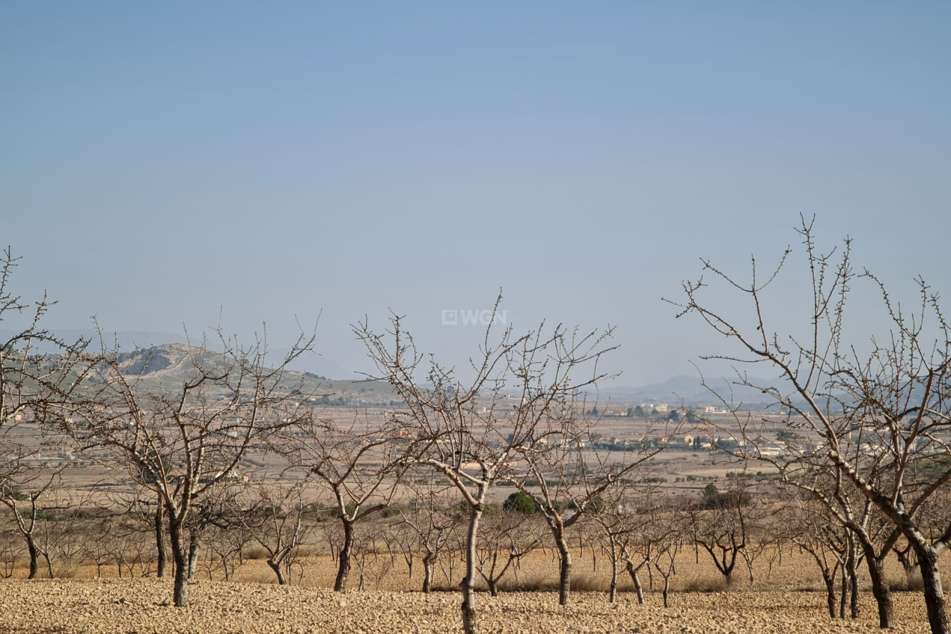 Odsprzedaż - Land - Jumilla - Inland