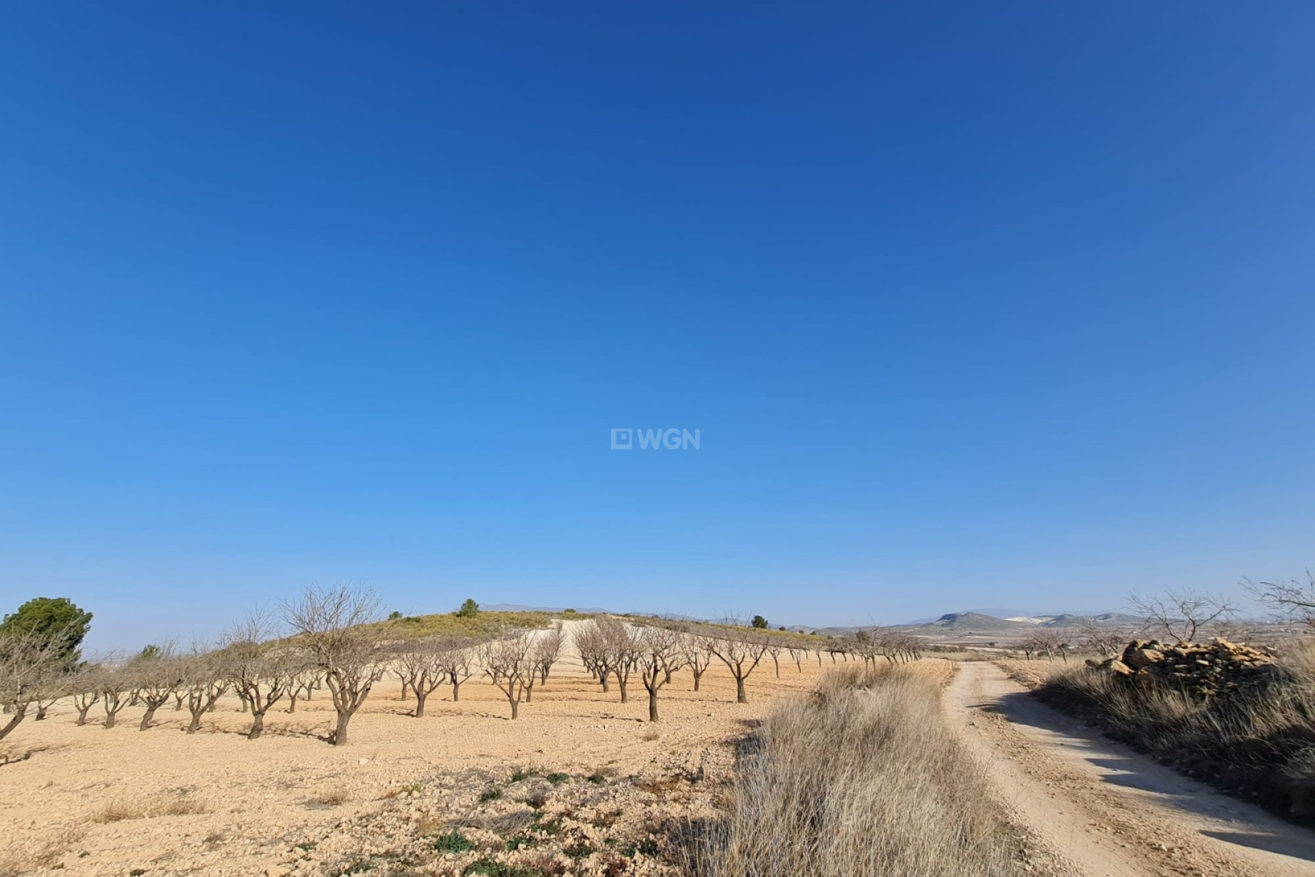 Odsprzedaż - Land - Jumilla - Inland