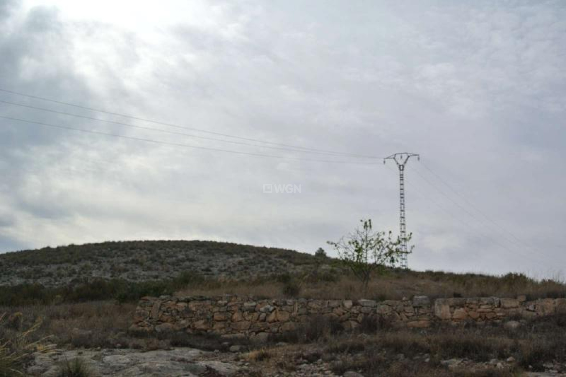 Odsprzedaż - Land - Jumilla - Inland