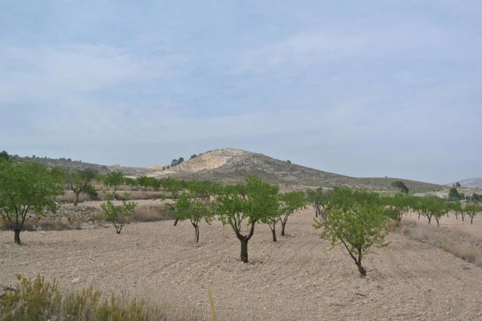 Odsprzedaż - Land - Jumilla - Inland