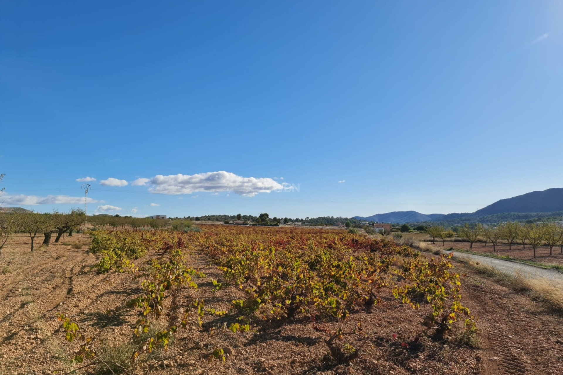 Odsprzedaż - Land - La Romana - Inland