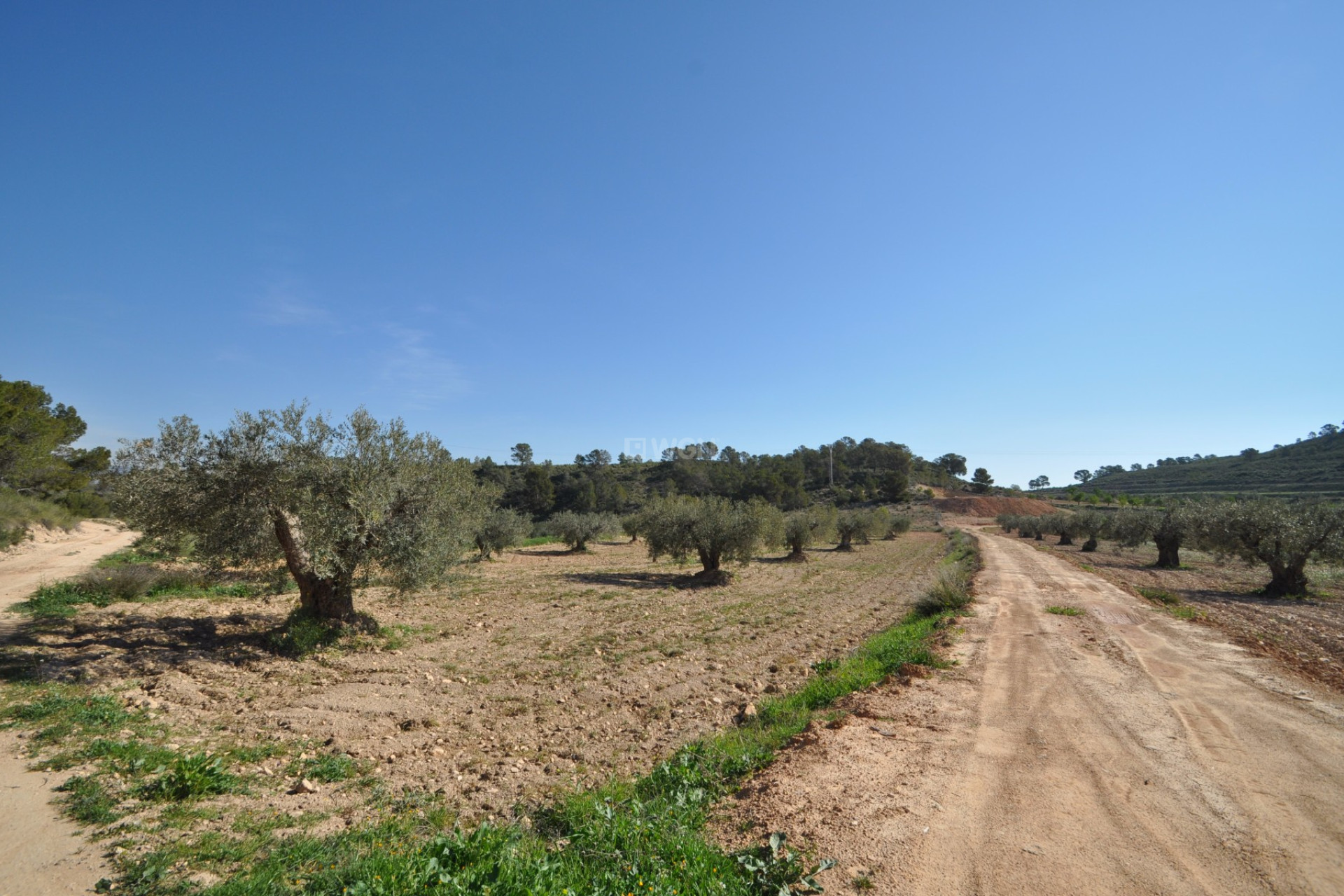 Odsprzedaż - Land - La Zarza - Inland