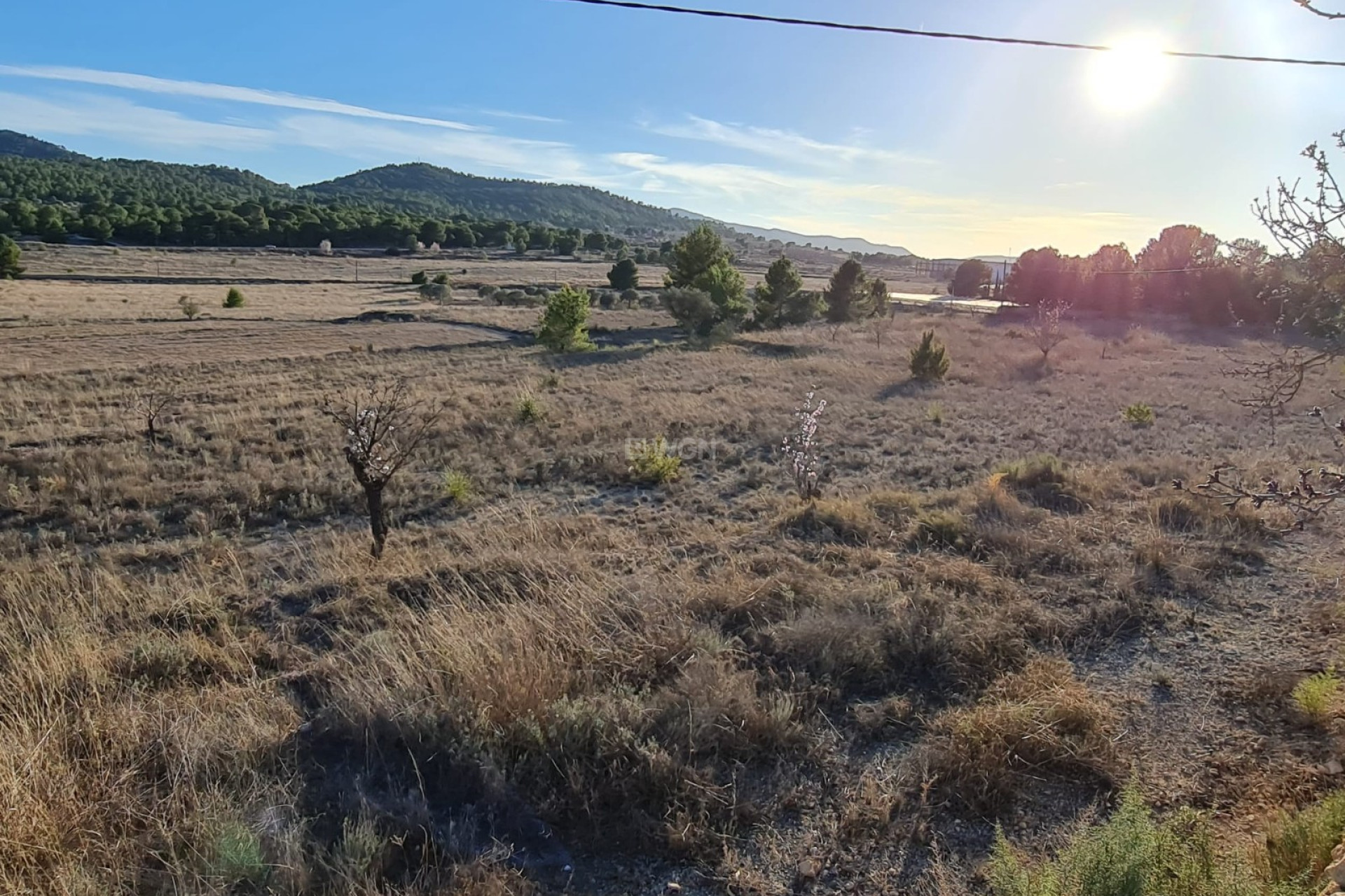 Odsprzedaż - Land - Monóvar/Monóver - Inland