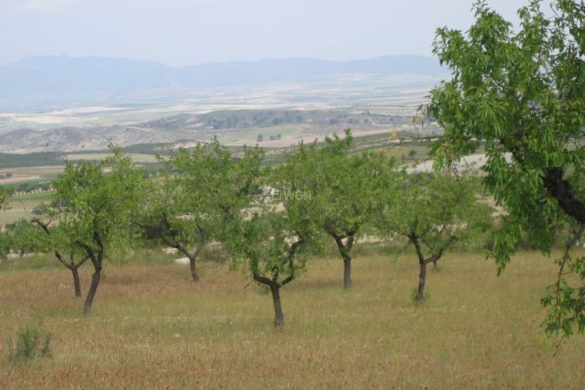 Odsprzedaż - Land - Murcia - Inland