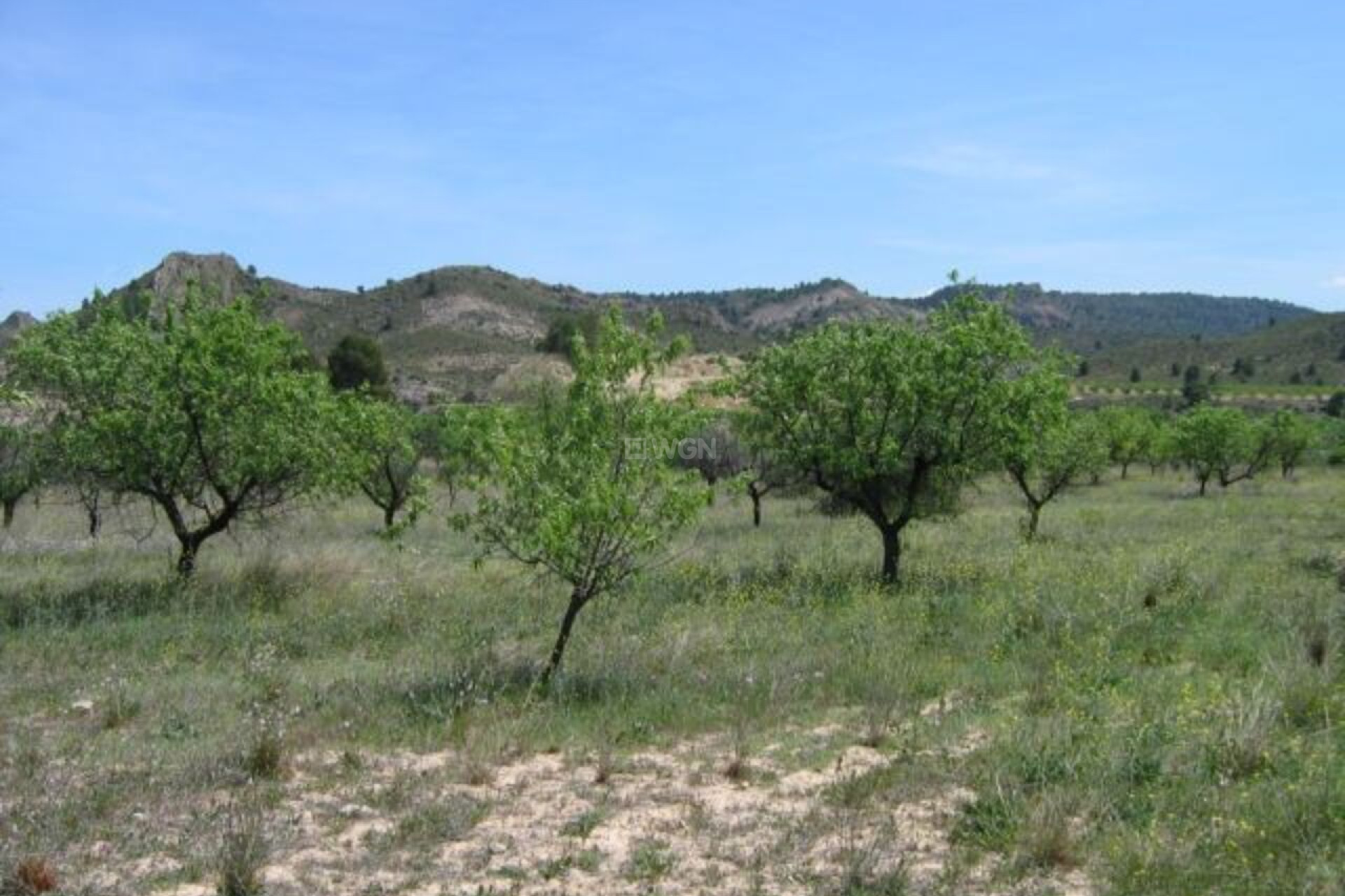 Odsprzedaż - Land - Murcia - Inland