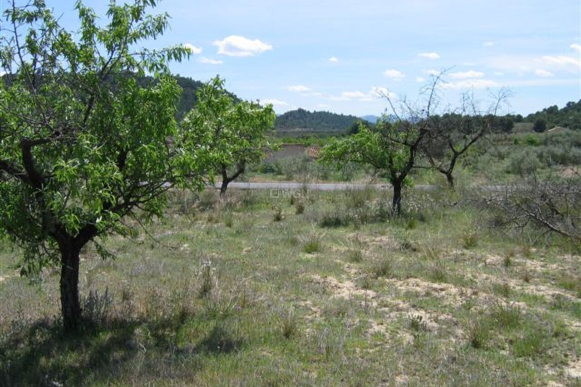 Odsprzedaż - Land - Murcia - Inland