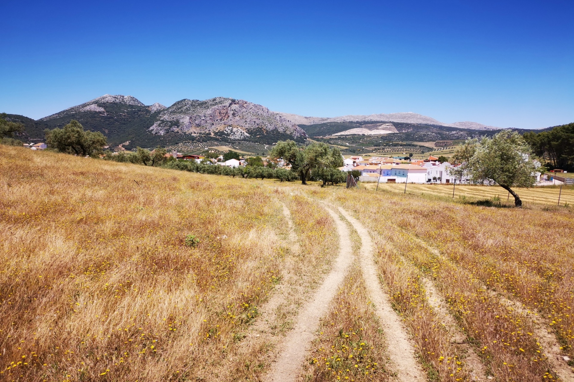 Odsprzedaż - Land - Periana - Inland