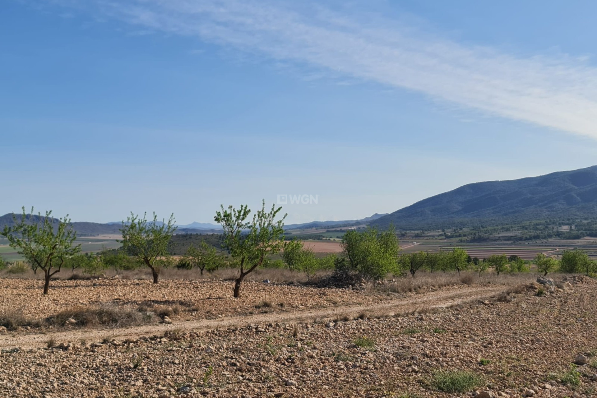 Odsprzedaż - Land - Raspay - Inland