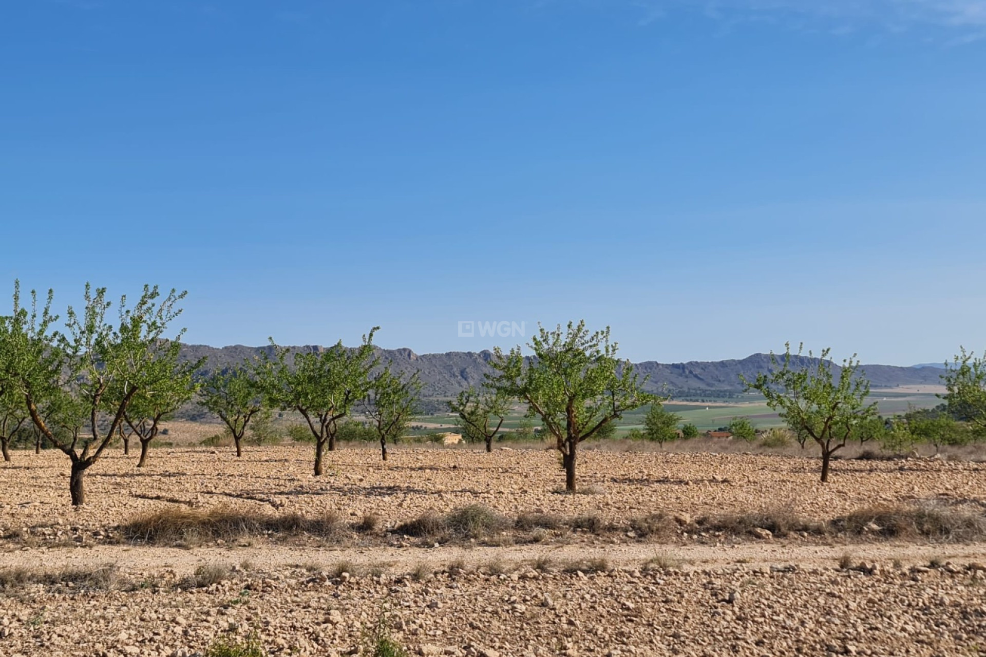 Odsprzedaż - Land - Raspay - Inland