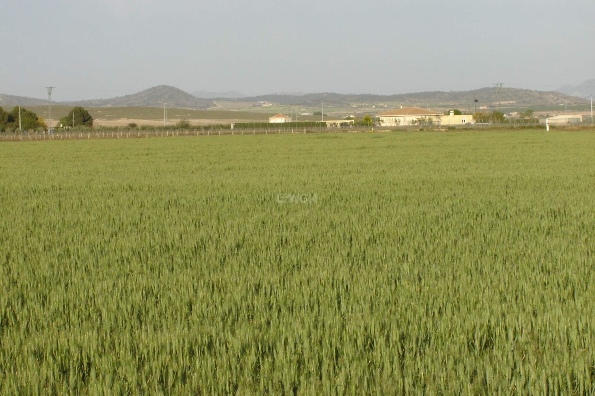 Odsprzedaż - Land - Yecla - Inland