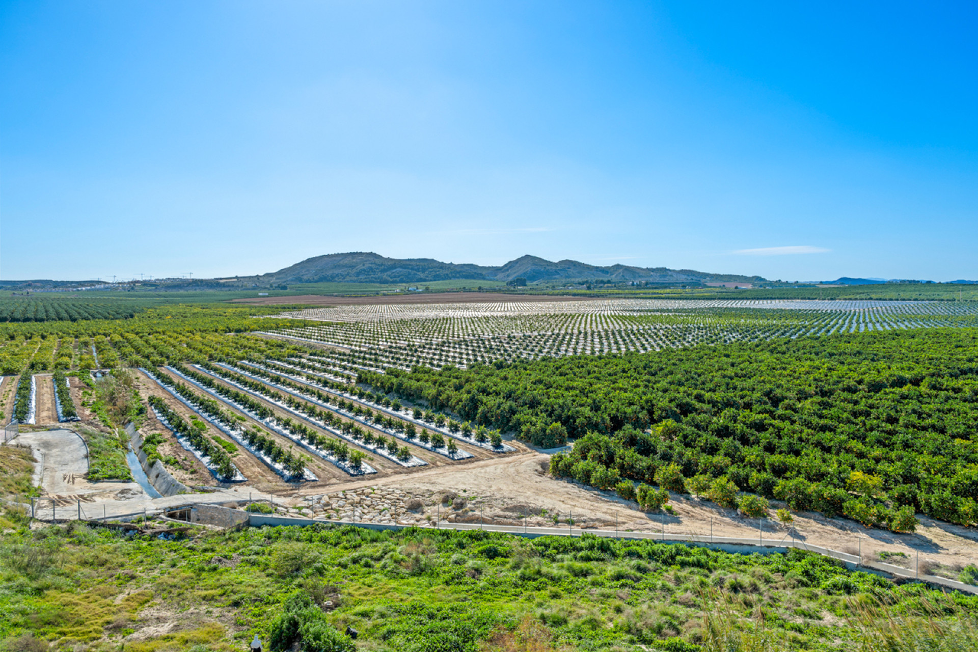 Odsprzedaż - Mieszkanie w bloku - Algorfa - Inland