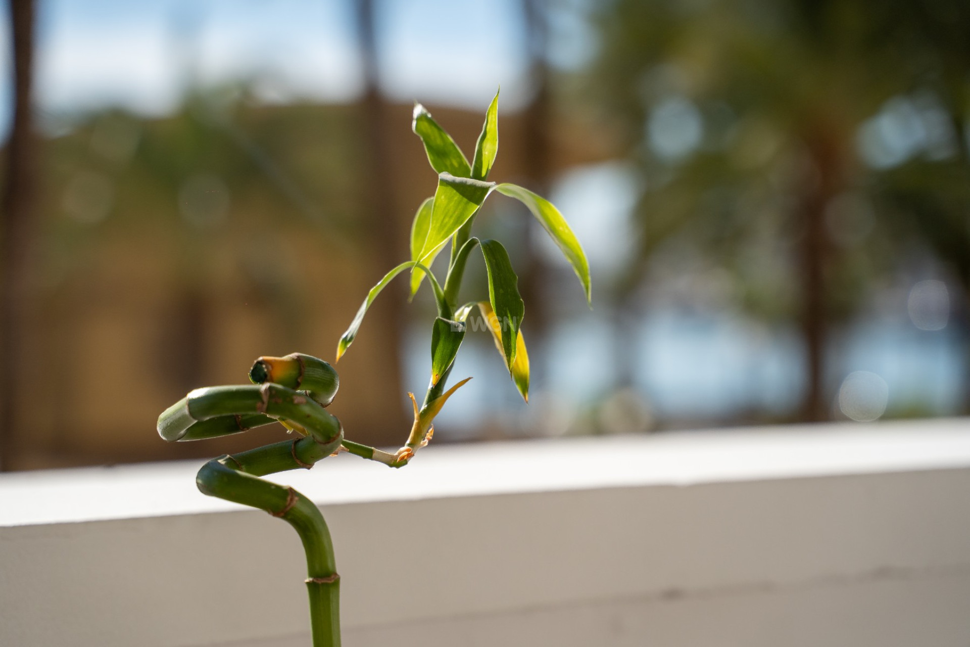 Odsprzedaż - Mieszkanie w bloku - Alicante - Costa Blanca