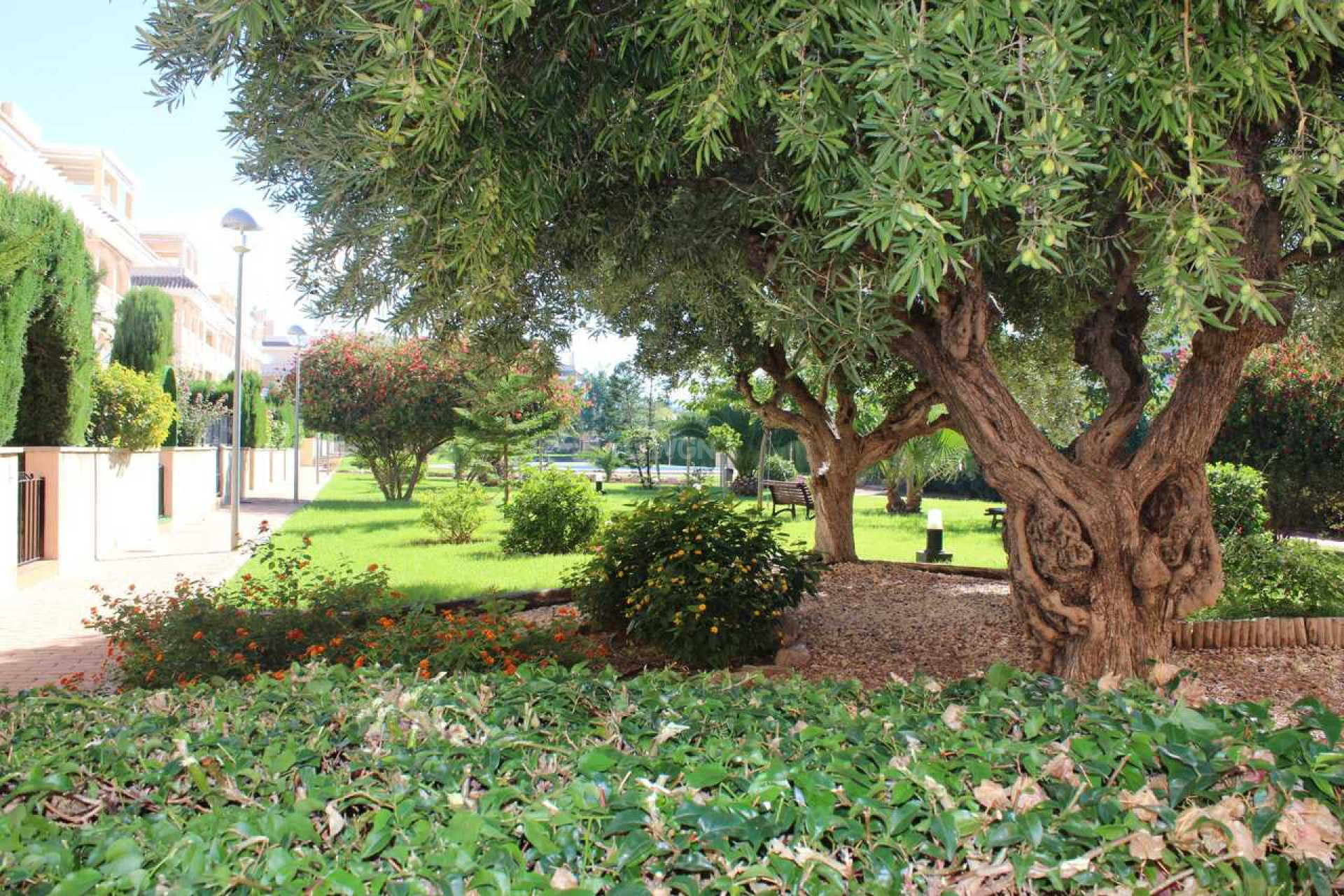 Odsprzedaż - Mieszkanie w bloku - Denia - Costa Blanca