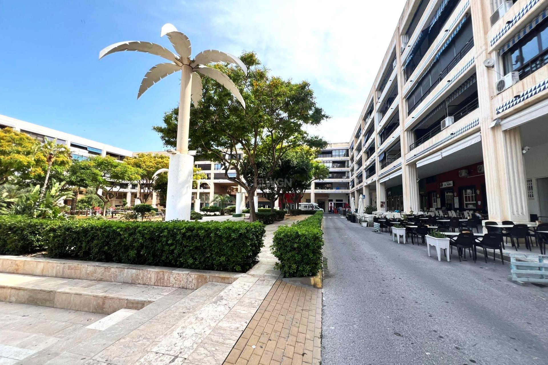 Odsprzedaż - Mieszkanie w bloku - Guardamar del Segura - Pueblo