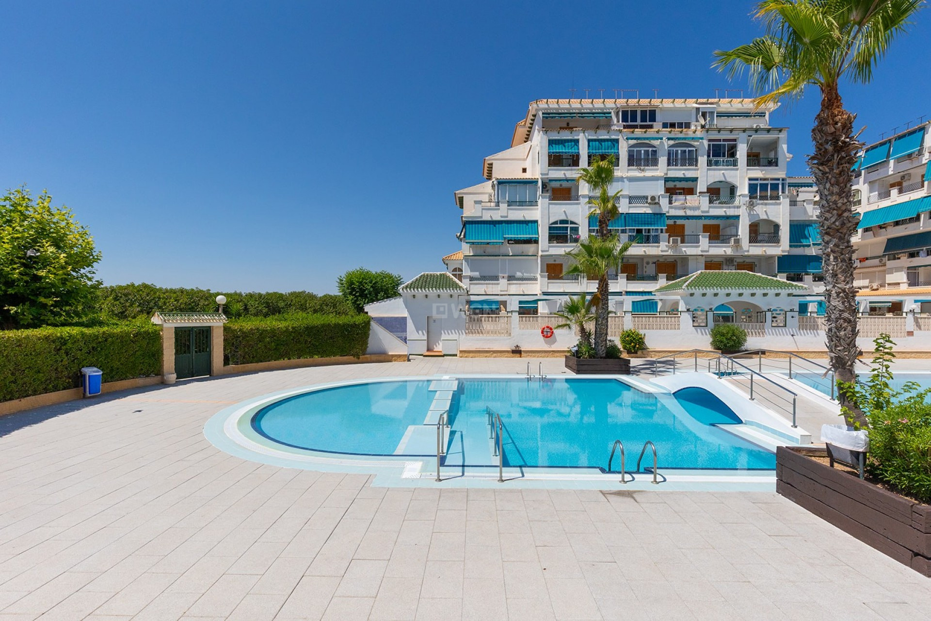 Odsprzedaż - Mieszkanie w bloku - La Mata - Costa Blanca