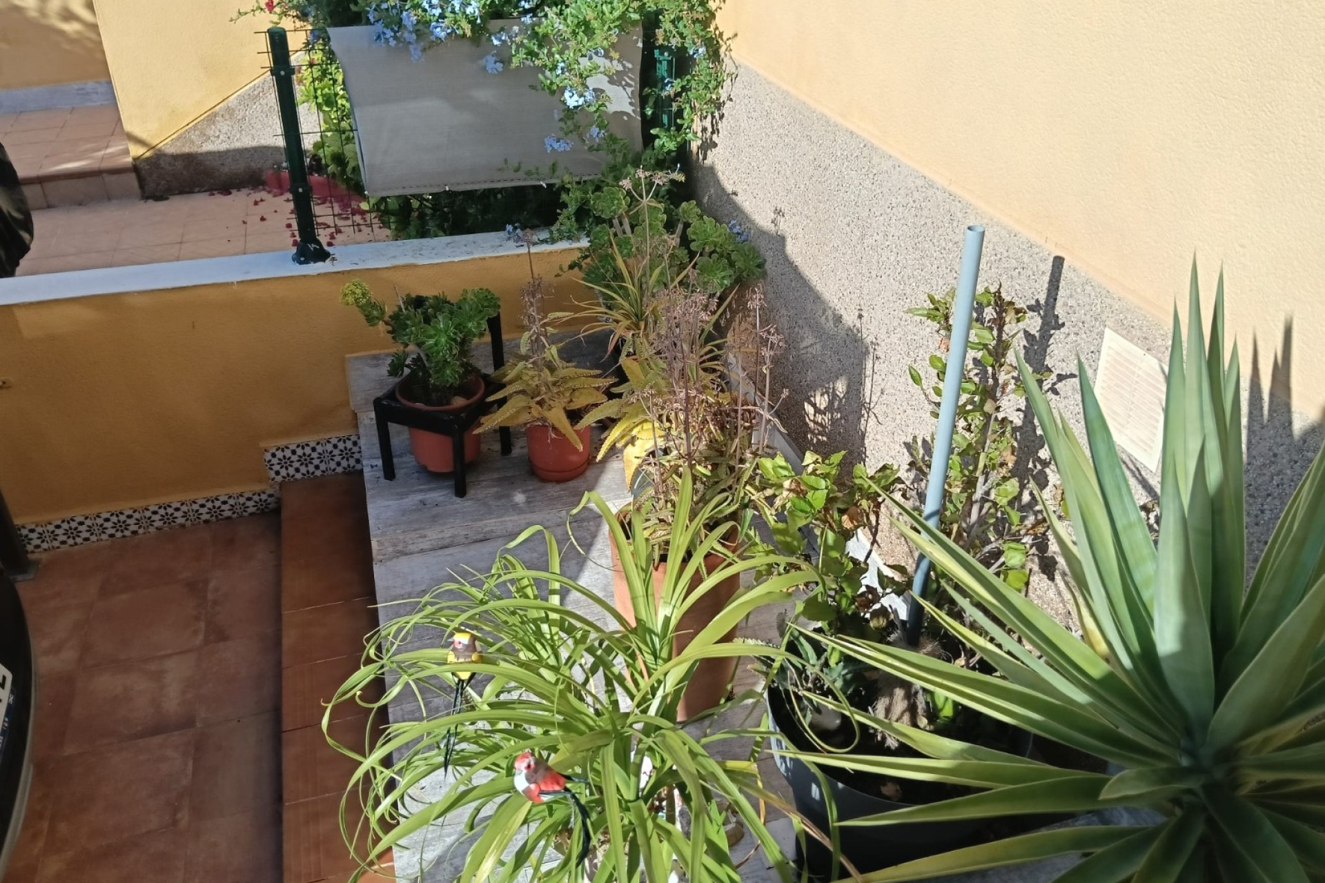 Odsprzedaż - Mieszkanie w bloku - Los Montesinos - Costa Blanca