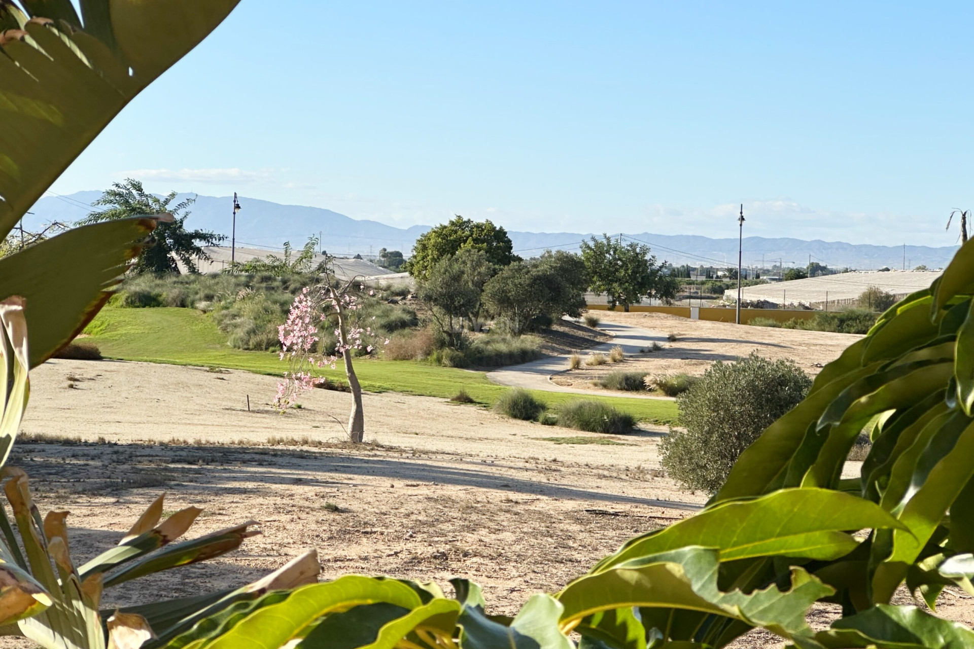 Odsprzedaż - Mieszkanie w bloku - Mar Menor Golf Resort - Inland
