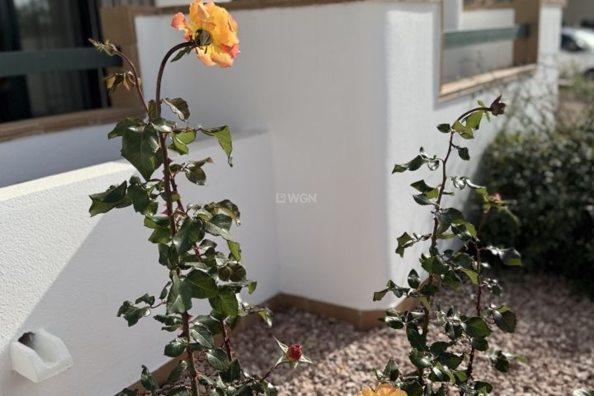 Odsprzedaż - Mieszkanie w bloku - Orihuela Costa - Costa Blanca