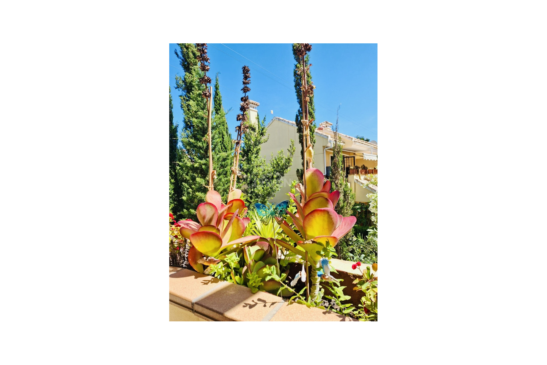 Odsprzedaż - Mieszkanie w bloku - Orihuela Costa - Costa Blanca