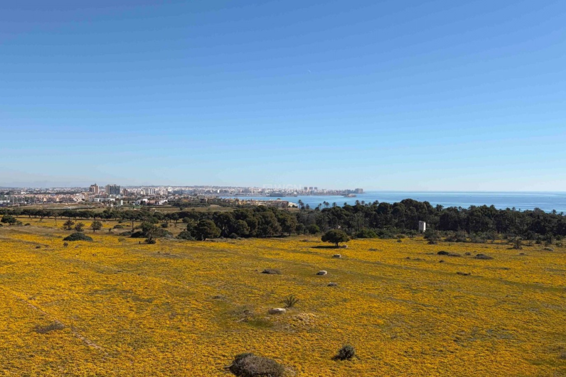 Odsprzedaż - Mieszkanie w bloku - Orihuela Costa - Costa Blanca