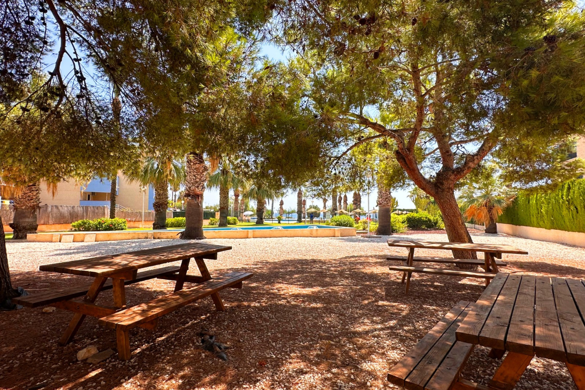 Odsprzedaż - Mieszkanie w bloku - Orihuela Costa - Costa Blanca
