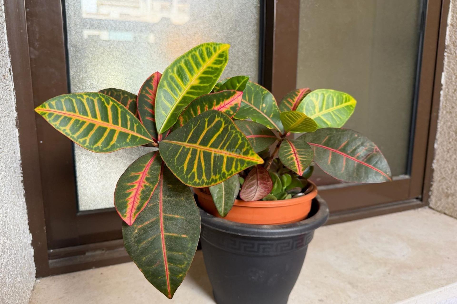 Odsprzedaż - Mieszkanie w bloku - Orihuela Costa - Las Ramblas