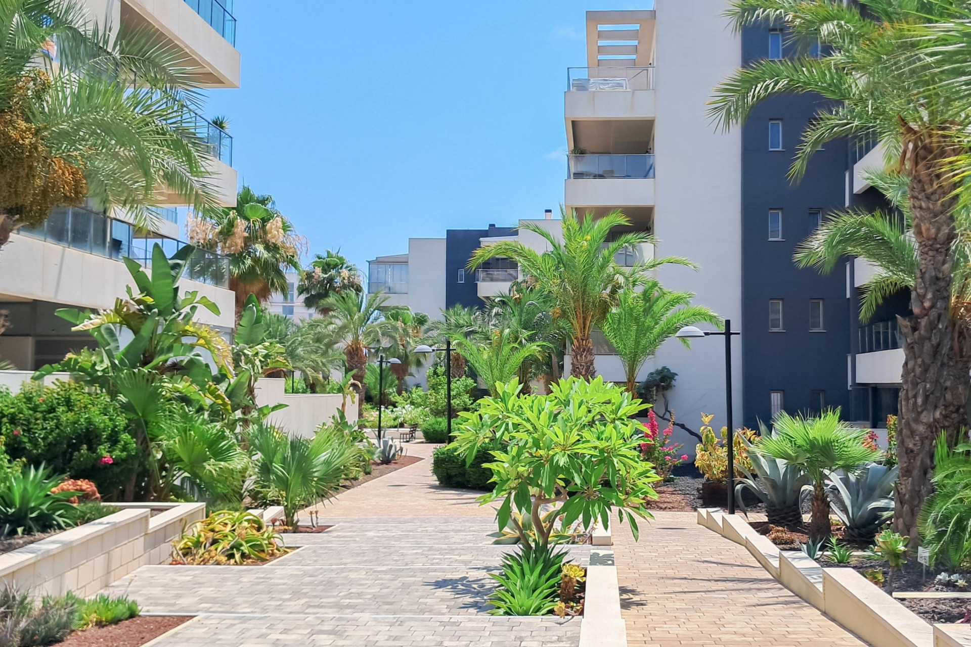 Odsprzedaż - Mieszkanie w bloku - Orihuela Costa - Los Dolses
