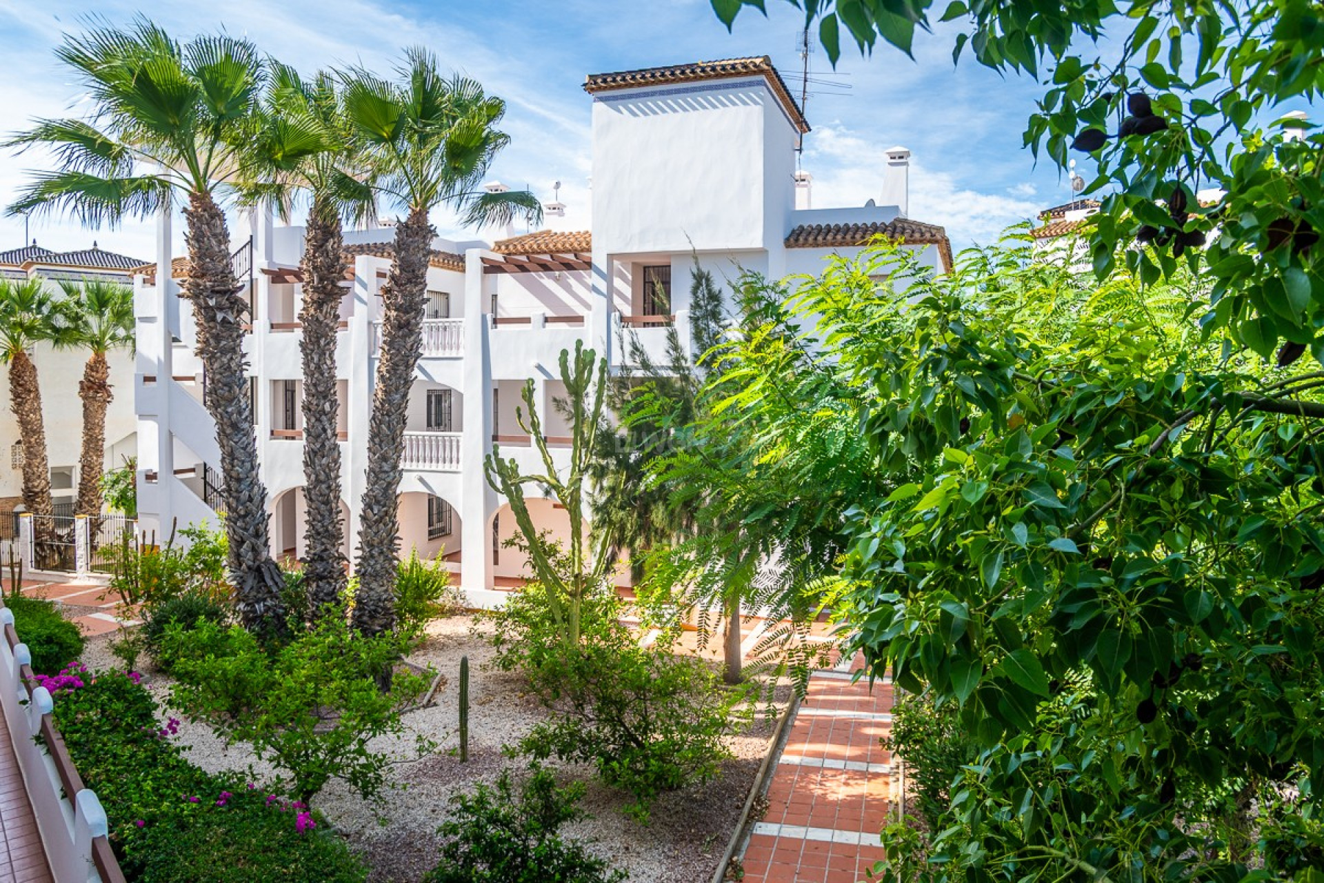 Odsprzedaż - Mieszkanie w bloku - Orihuela - Inland