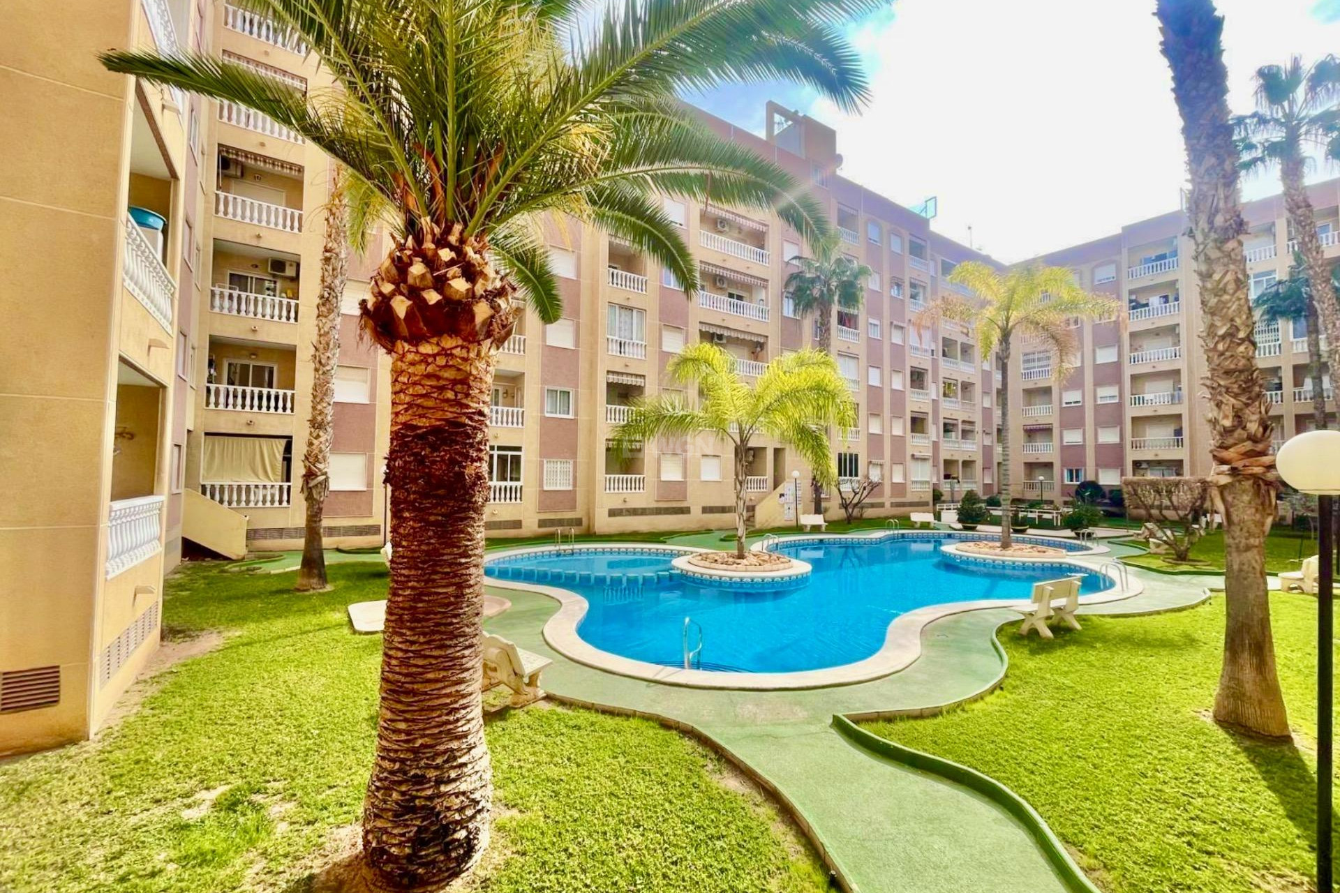 Odsprzedaż - Mieszkanie w bloku - Torrevieja - Centro